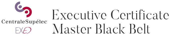 MBBLSS CENTRALESUPELEC EXED